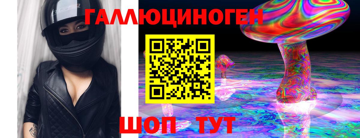 Мирный  Галлюциногенные грибы Psilocybine cubensis  Вход с VPN 