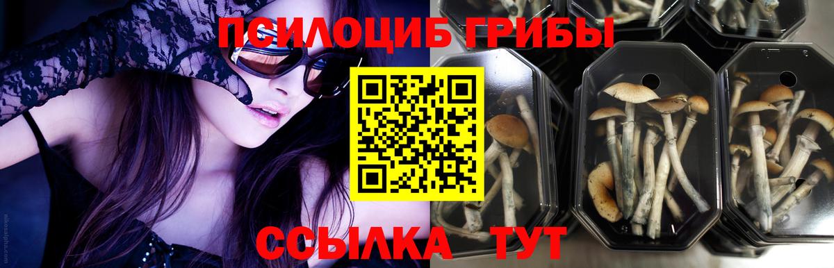 Галлюциногенные грибы прущие грибы Мирный